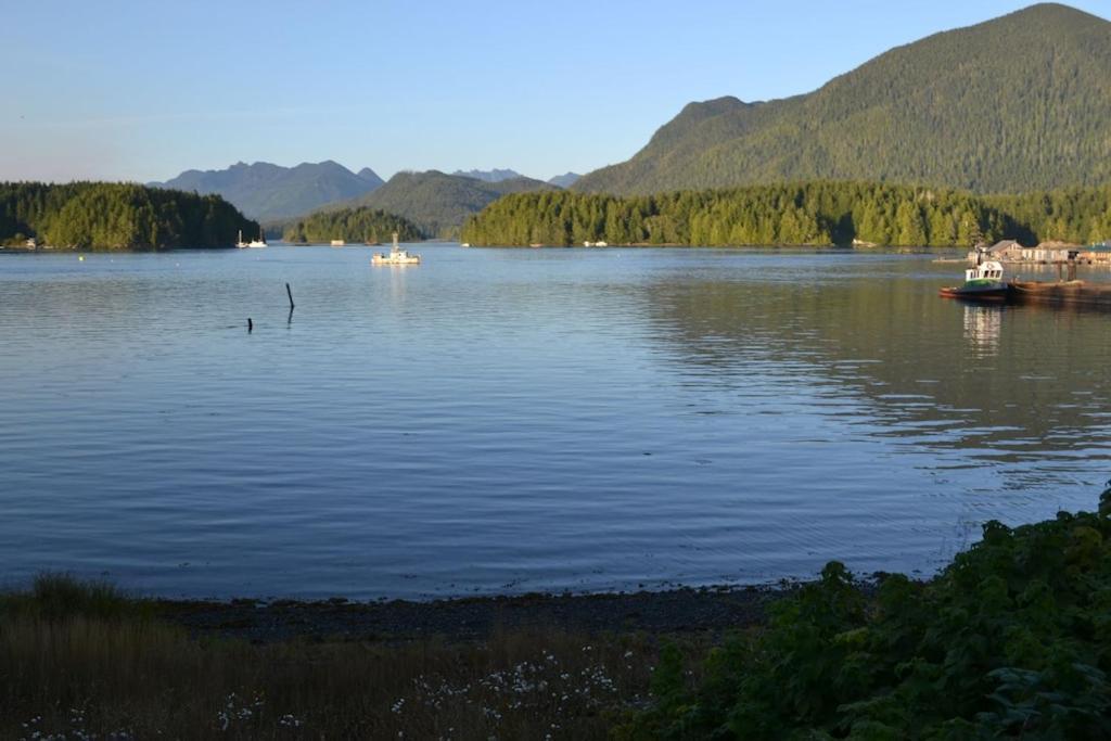 托菲诺Waterfront View Of The Inlet, Short Walk To Town公寓 外观 照片