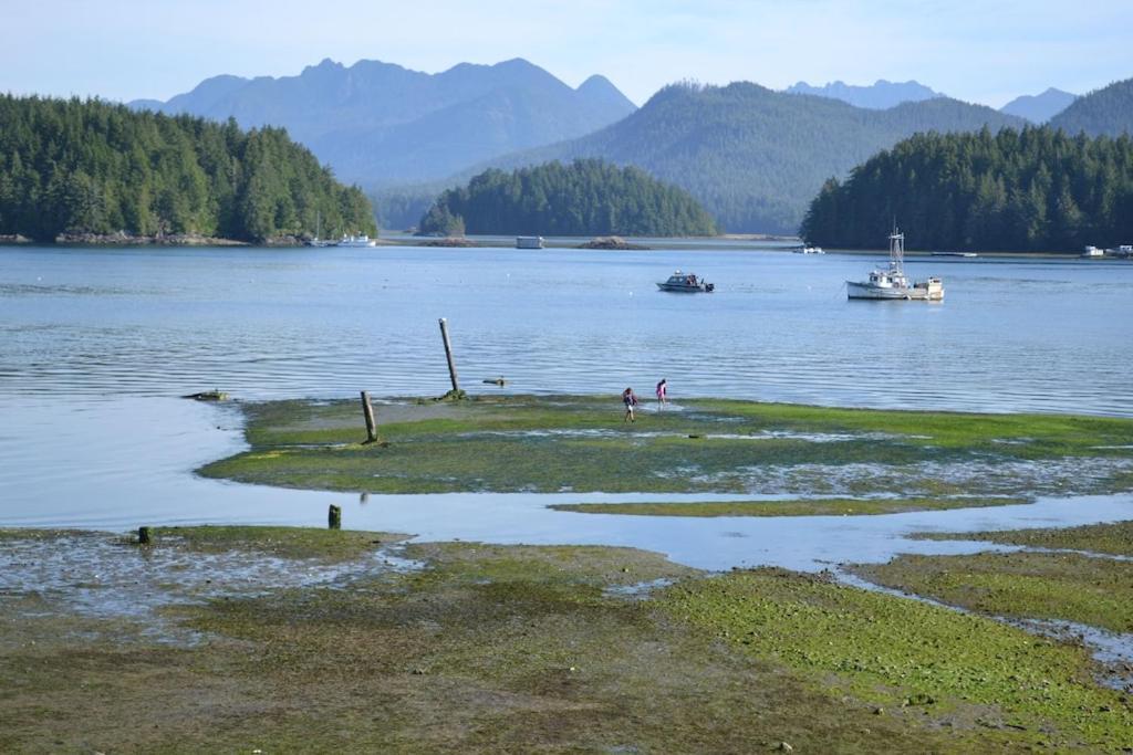 托菲诺Waterfront View Of The Inlet, Short Walk To Town公寓 外观 照片